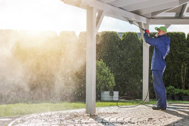 Best Pre-Holiday Cleaning  in Roseville, MN