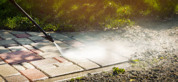 Best Soft Washing  in Roseville, MN